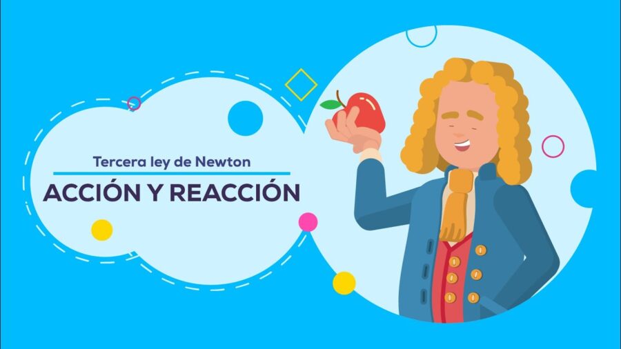 A Toda Reaccion Corresponde Una Reaccion