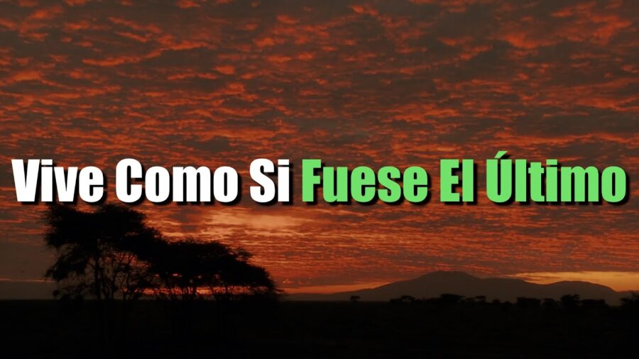 Vive cada día como si fuera el último: Reflexiones para aprovechar al