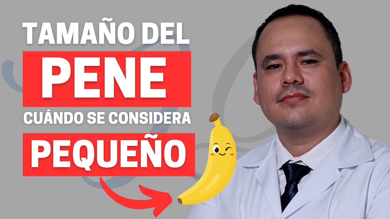 Descubre La Verdad Sobre El Tama o Promedio Del Aparato Reproductor Descubre La Verdad Sobre El Tama o Promedio Del Aparato Reproductor