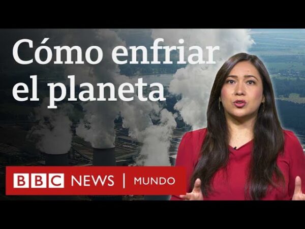 Descubre cómo prevenir el calentamiento global y proteger nuestro ...