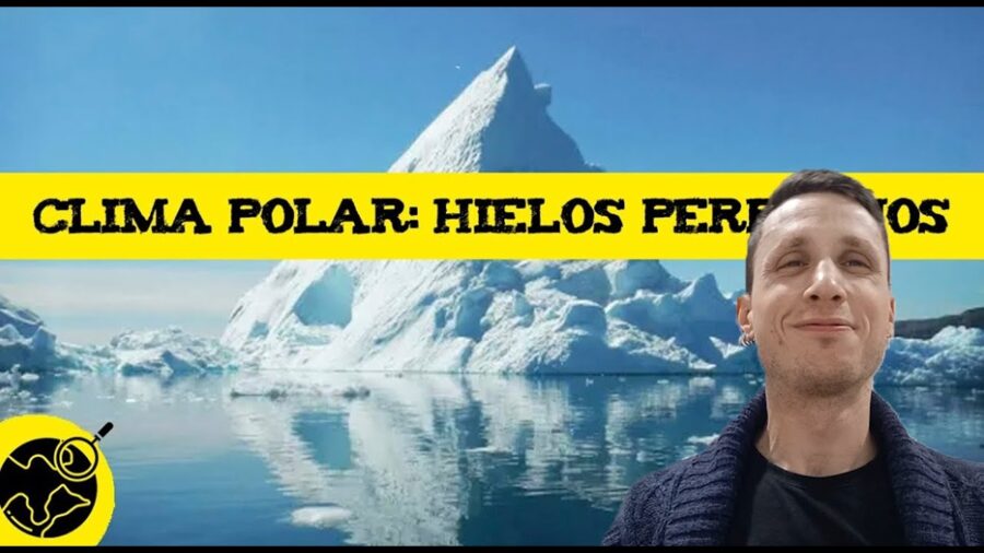 Descubre la exquisita fauna de los hielos perpetuos: maravillas del ...