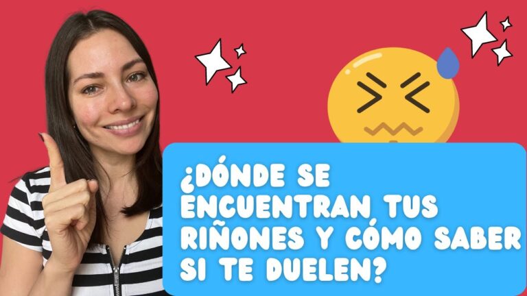 Dónde se localiza el dolor de riñón: descubre sus causas y síntomas ...